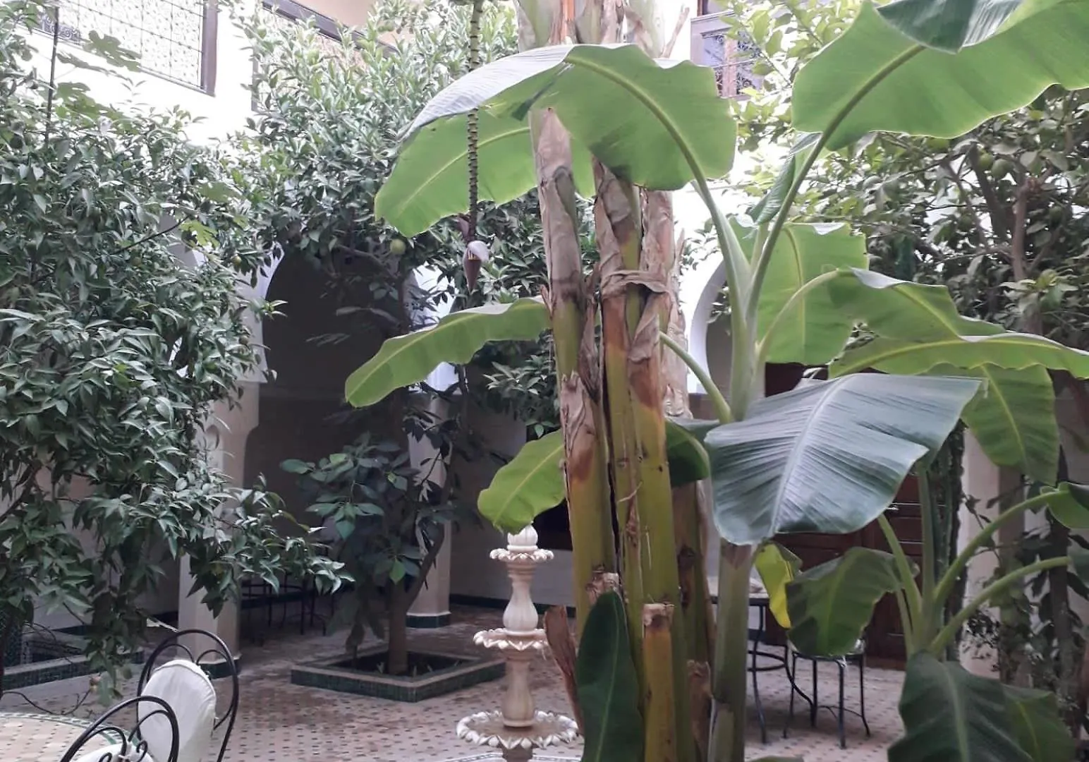 ***  Riad Tidar By Phoenix Morocco