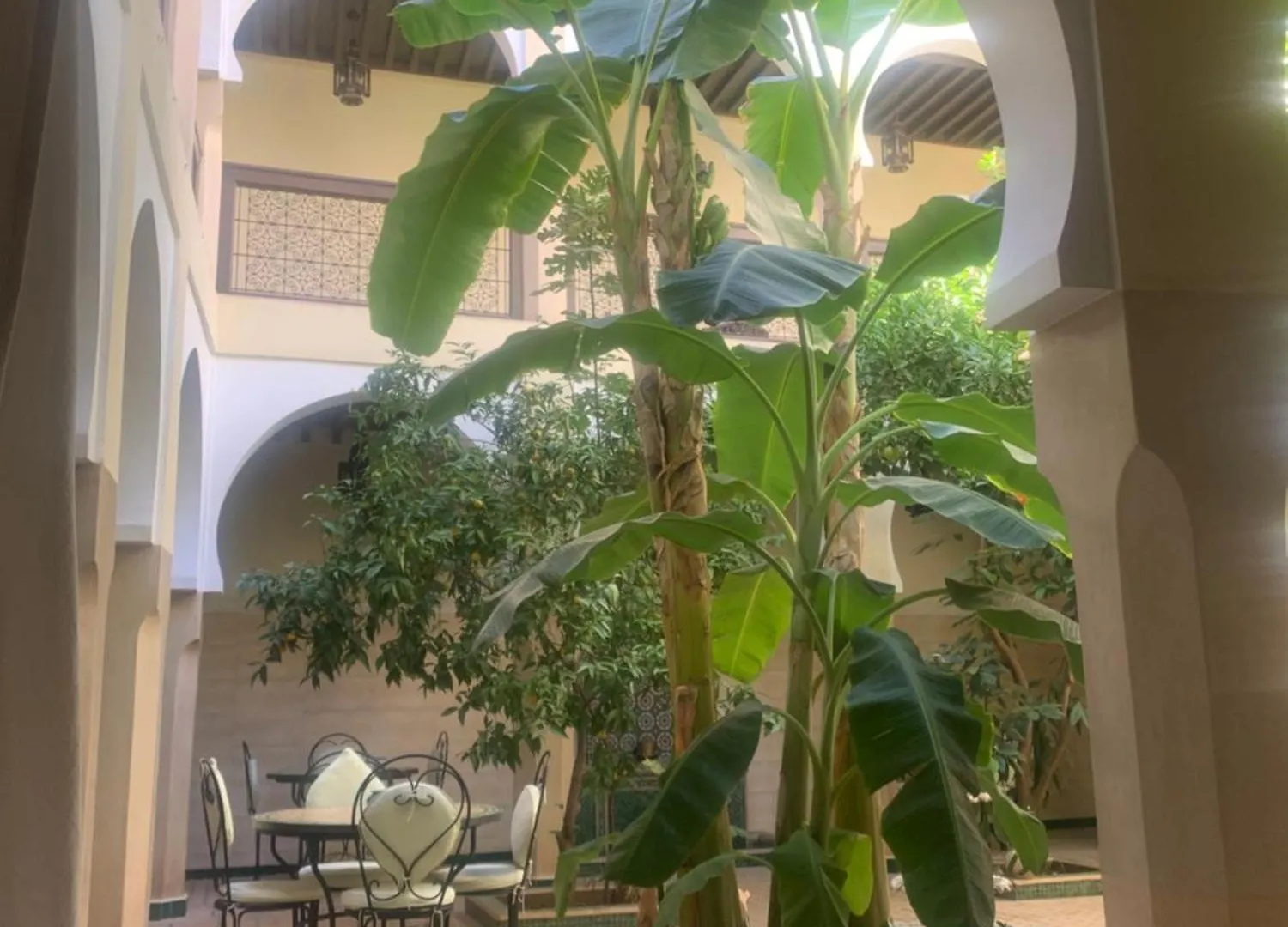 Riad Tidar By Phoenix