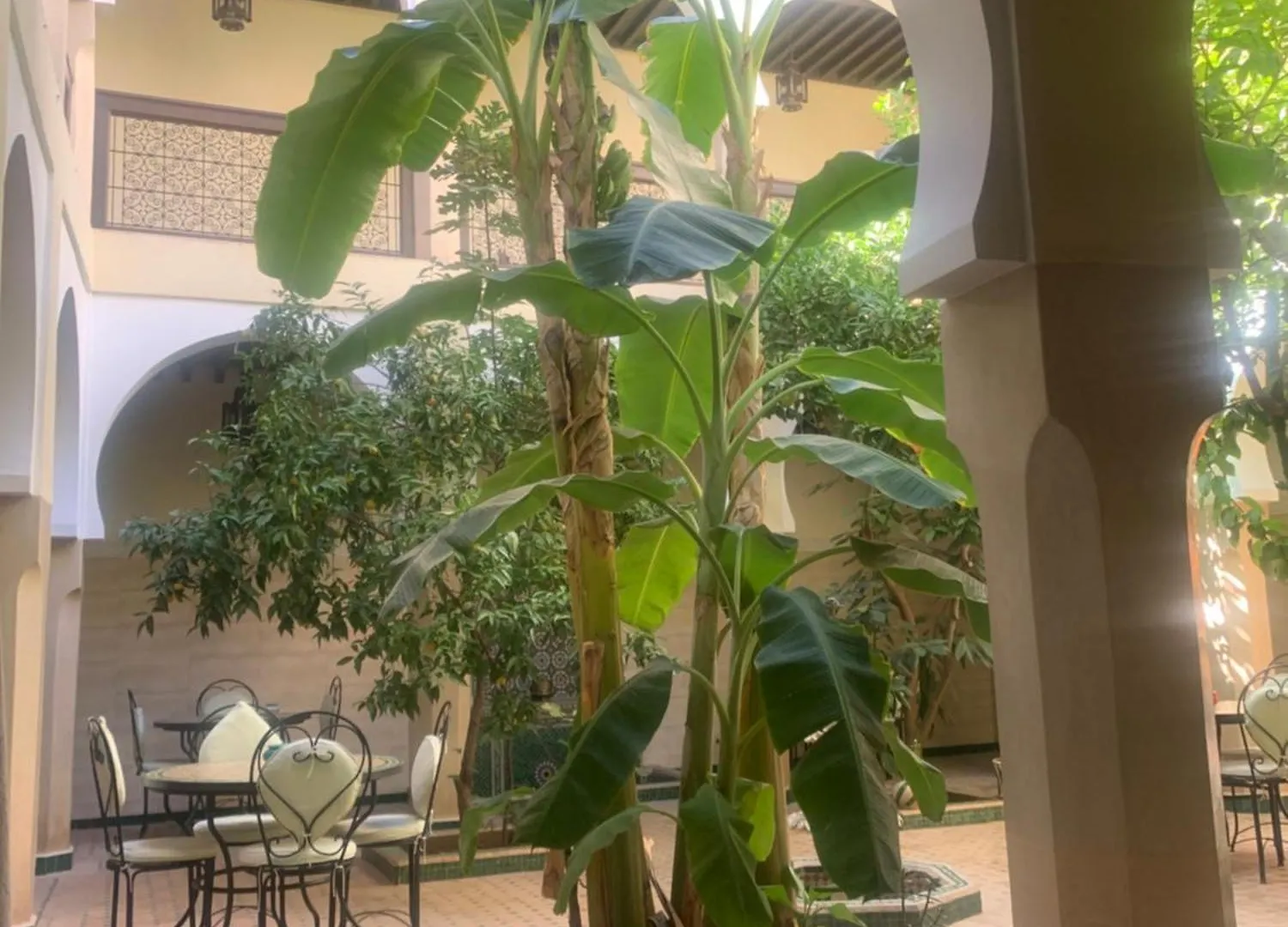 Riad Tidar By Phoenix